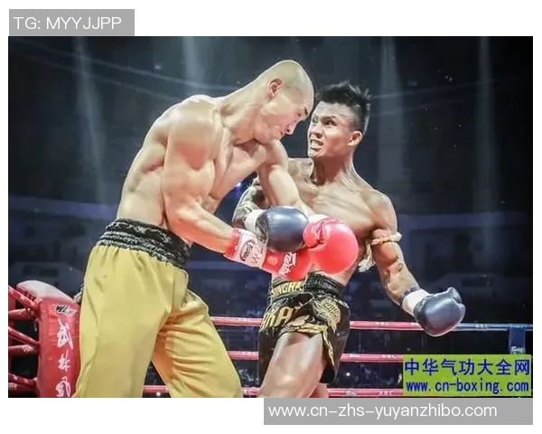 梅威瑟与卡斯蒂洛的巅峰对决谁将成为拳坛传奇的继承者